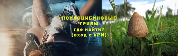кокс Михайлов