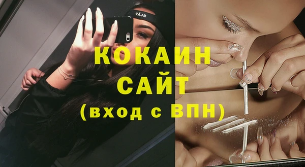 кокс Михайлов