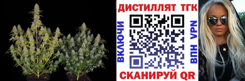 ТГК концентрат  Энгельс 