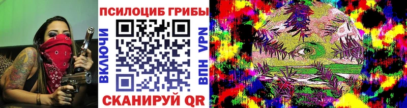 как найти наркотики  Энгельс  Галлюциногенные грибы Psilocybe 