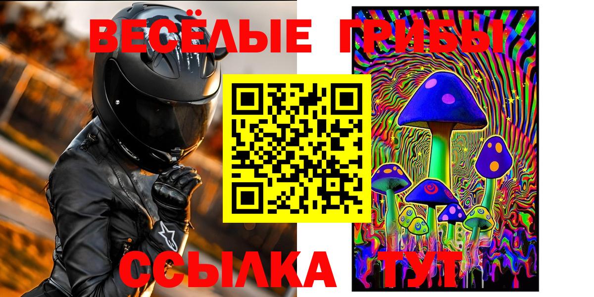 Энгельс  Псилоцибиновые грибы GOLDEN TEACHER  Вход с VPN 