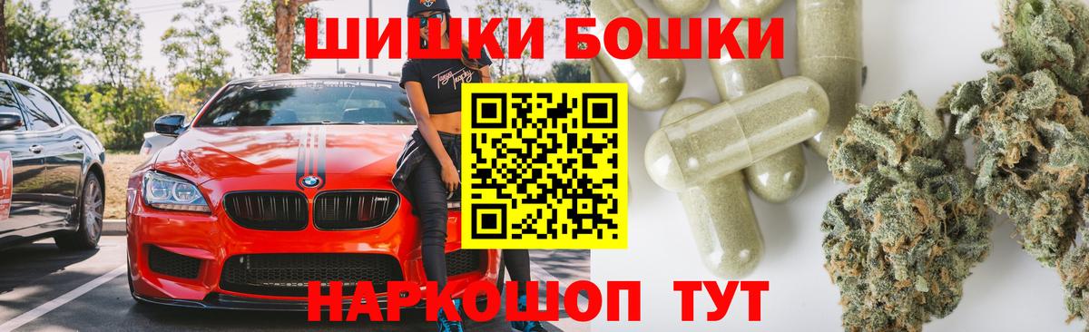 Бошки Шишки планчик Энгельс